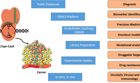 Clinical Trial Vanguard
